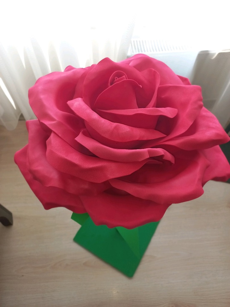 eva büyük cicek - 9