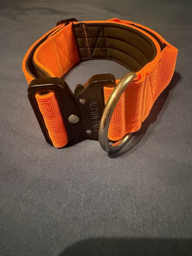 Alpha- Tach Turuncu Boyun Tasması - 3