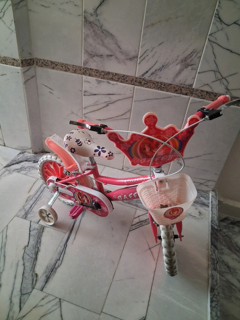 cocuk bisikleti - 2