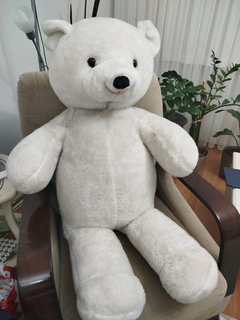 Peluş ayi - 2