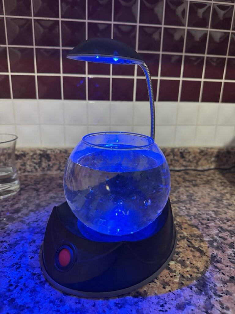 LED Işıklı Dekoratif Akvaryum Fanusu - 2