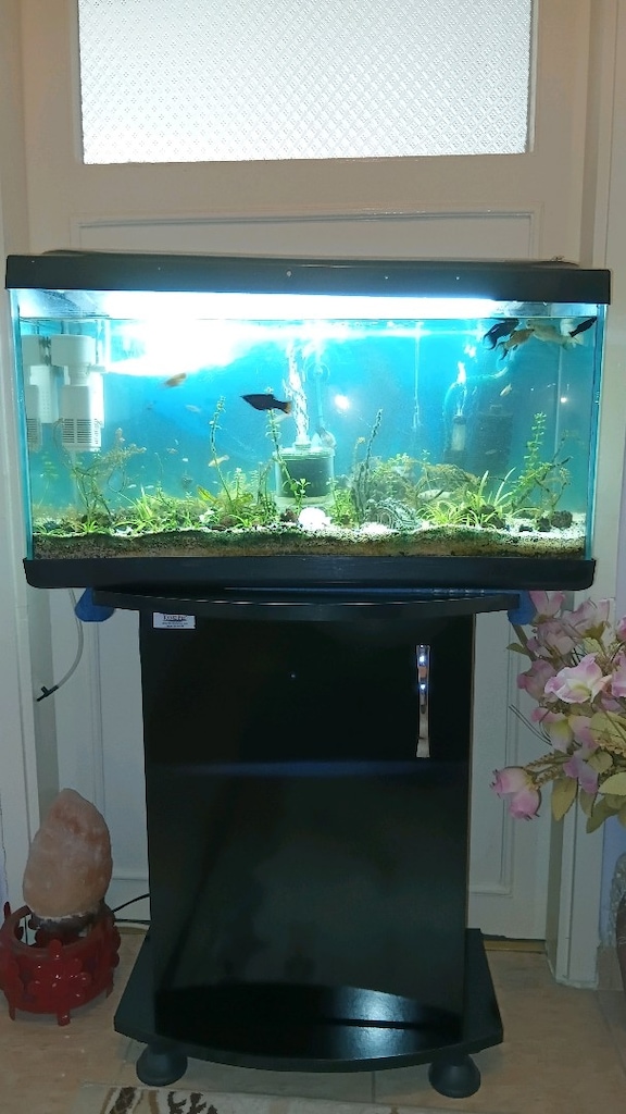 65 CM 2motorlu 4 filtreli ve dolabı tüm takımı