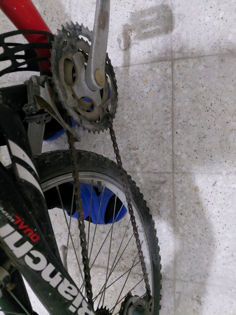 Bianchi Bisiklet - 7