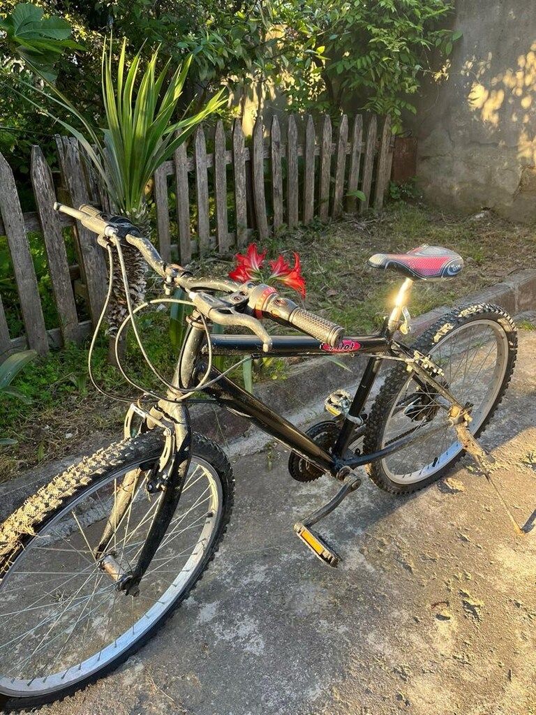 bisiklet 26 jant - 4