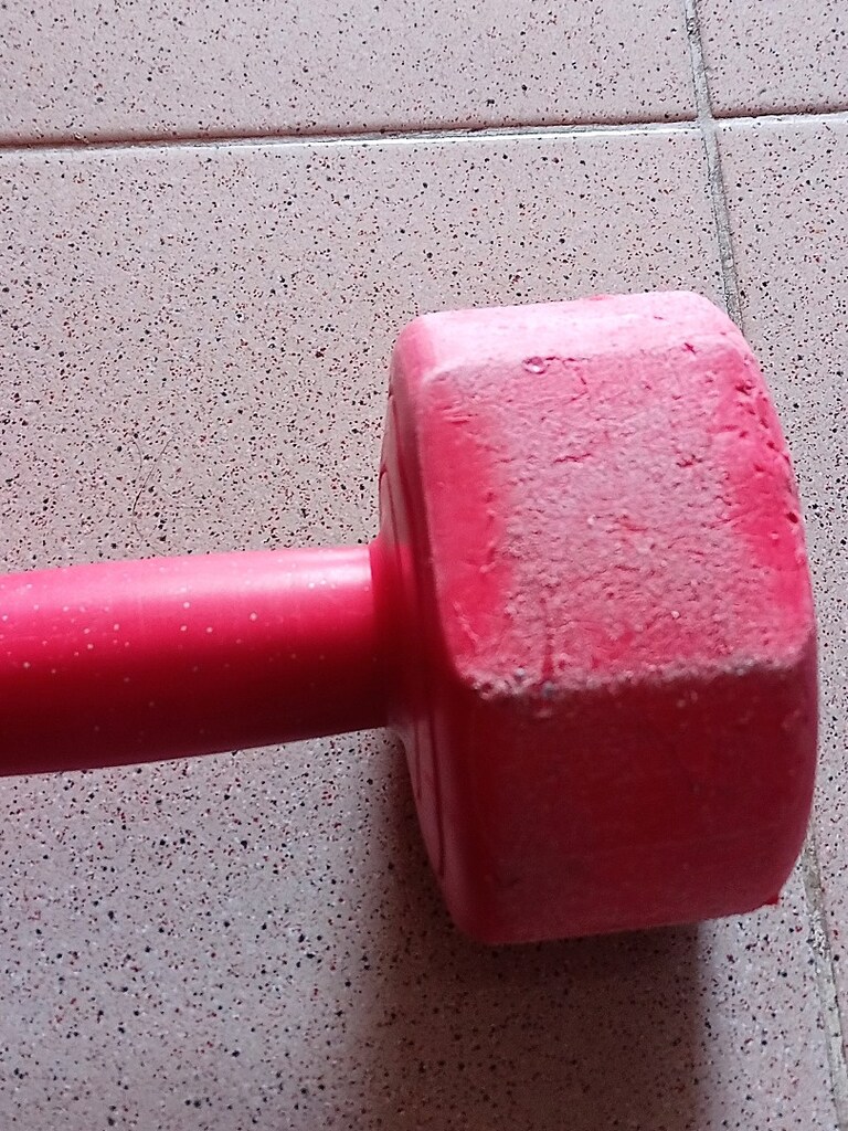5 Kilogram Dambıl Fitness Vücut Geliştirme 5 Kg Ağırlık Kaldırma - 3