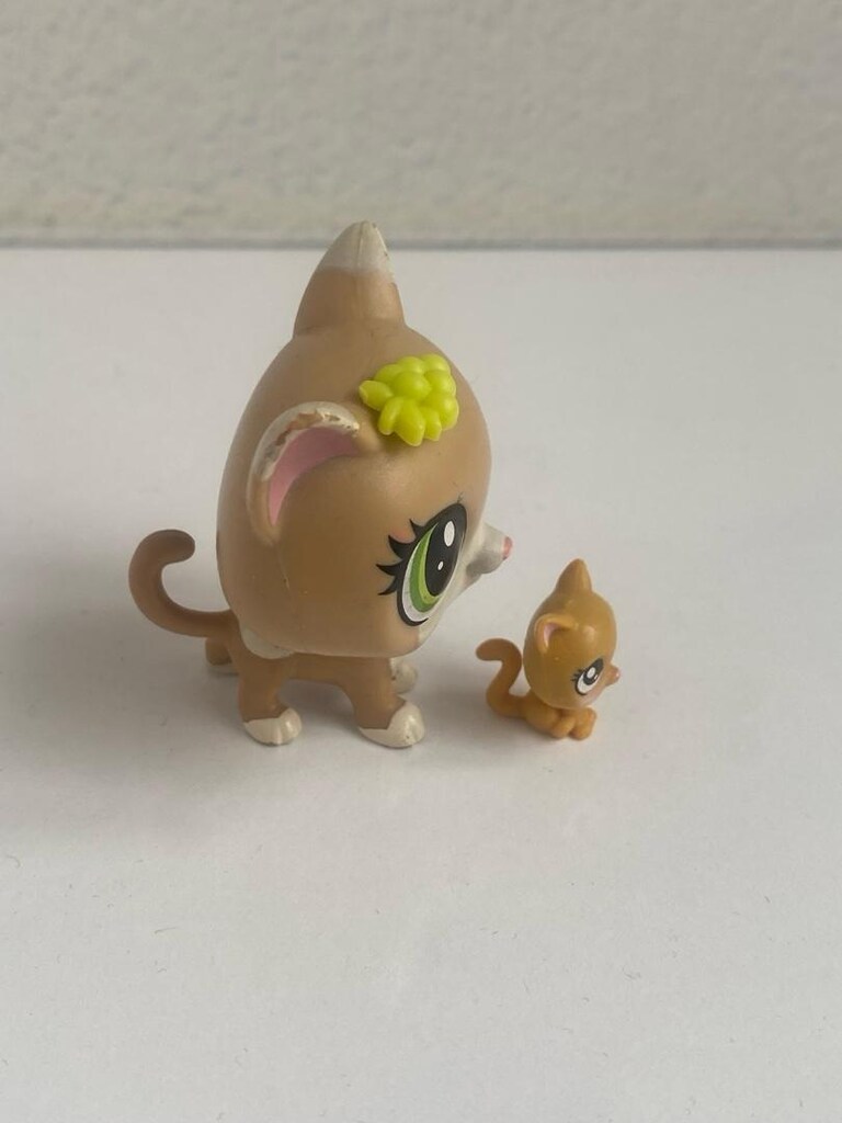 kedi minişler - 4
