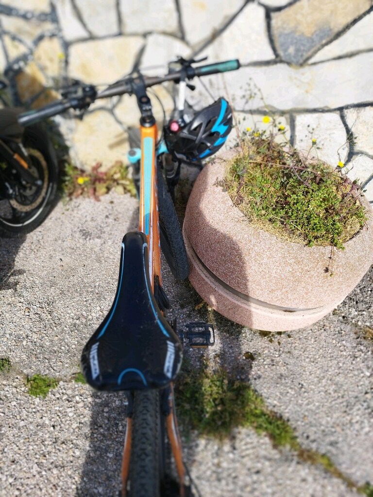 Salcano NG650 Dağ Bisikleti - 5