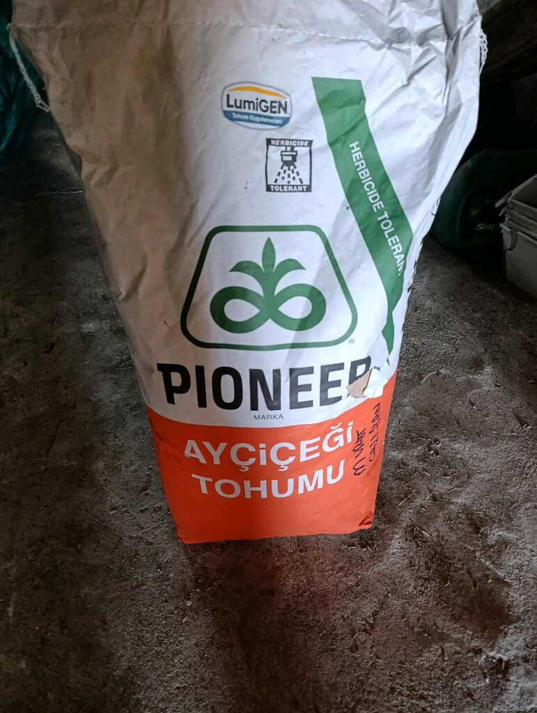 ayçiçeği tohumu - 2