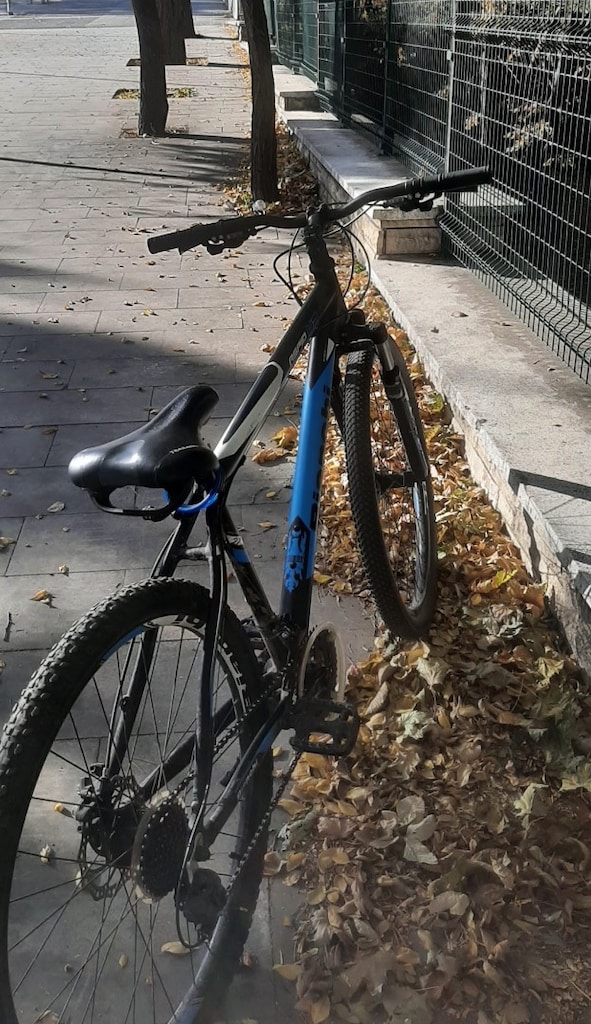 Bianchi Aspid 47 - 3