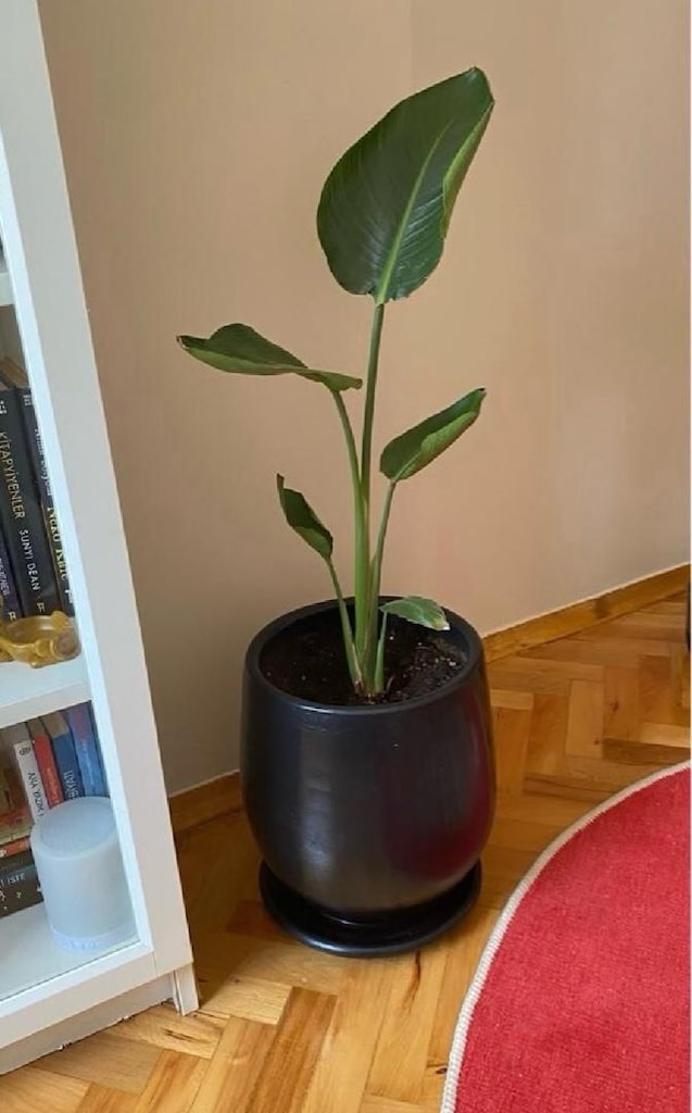 Balkon Saksıları 7+2 +1 - 7