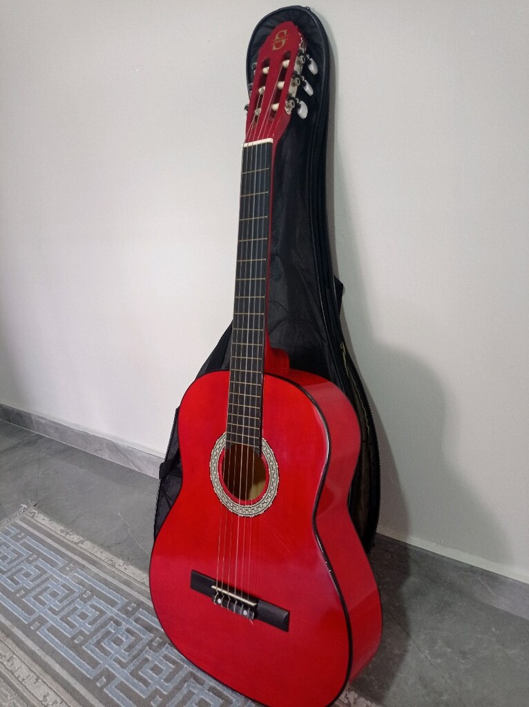 SİLVERİO 4/4 GİTAR - 5