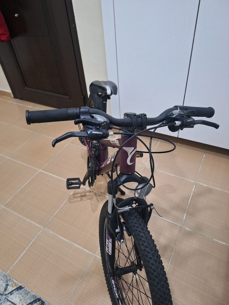sıfır ayarında 20 jant carraro force 201 vitesli çocuk bisikleti - 6