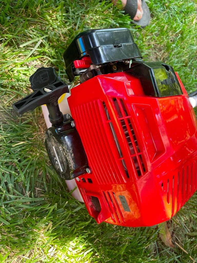 Einhel motorlu ot biçme tırpanı - 3