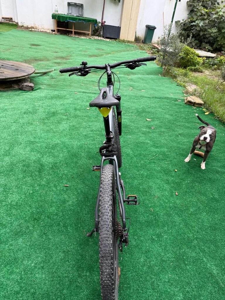 Tertemiz / Çok Az Kullanılmış Bianchi Magma 29S - XL Kadro (29 Jant) - 8