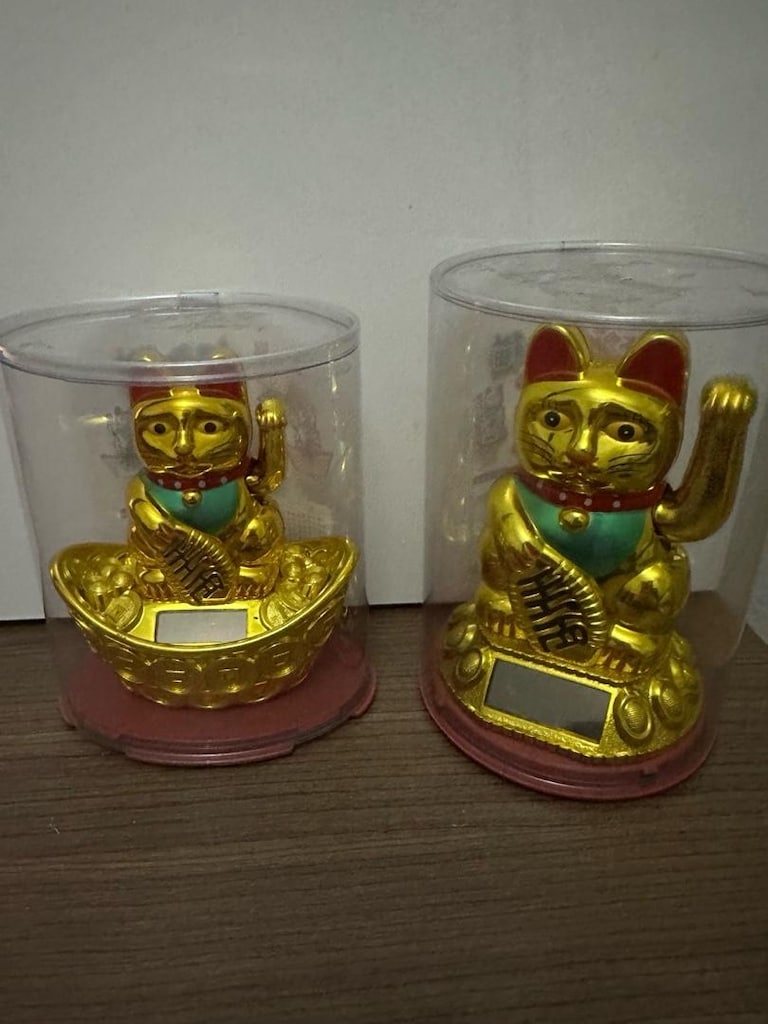 GÜNEŞ ENERJİLİ ŞANS KEDİSİ - 4