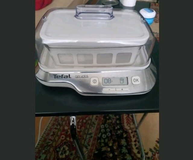 yogurt mayalama