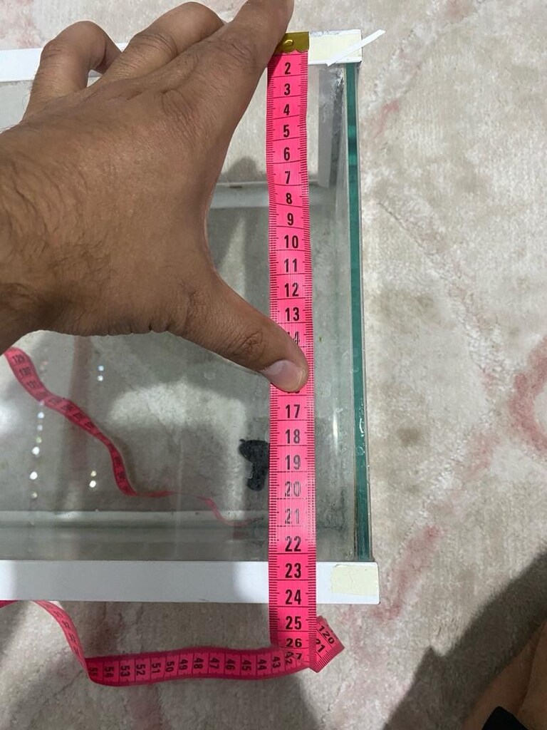 Akvaryum - 2