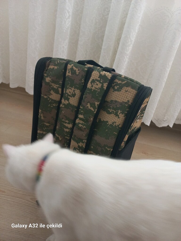 kedi taşıma çantası