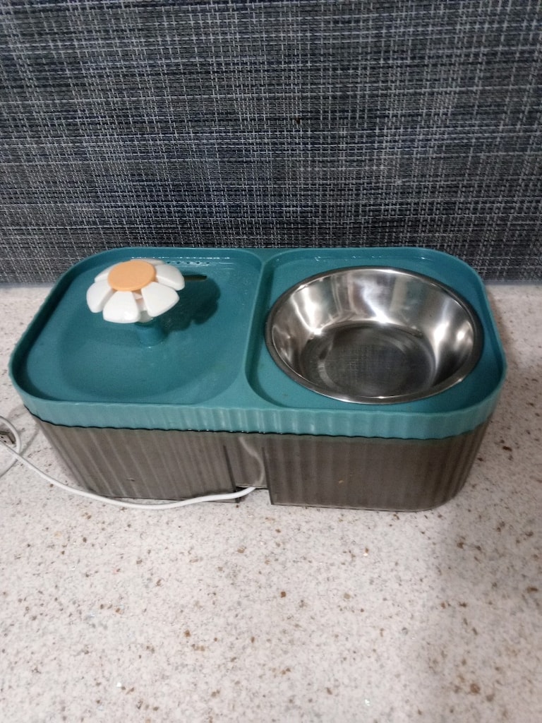 KEDİ MAMA VE ŞU KABI - 3