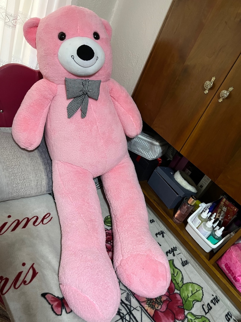 Pembe Peluş Ayı
