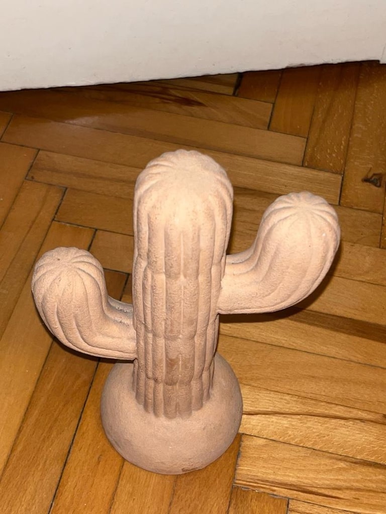kaktüs biblo - 5
