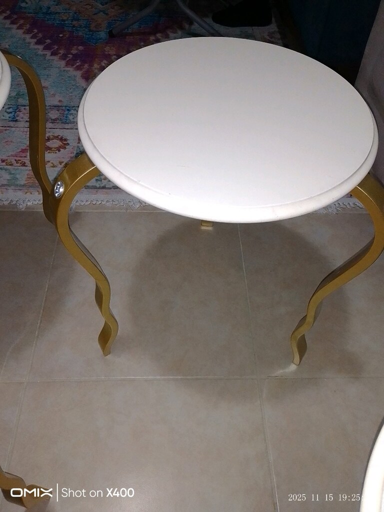 ÖRÜMCEK MODEL ZİGON SEHPA - 6