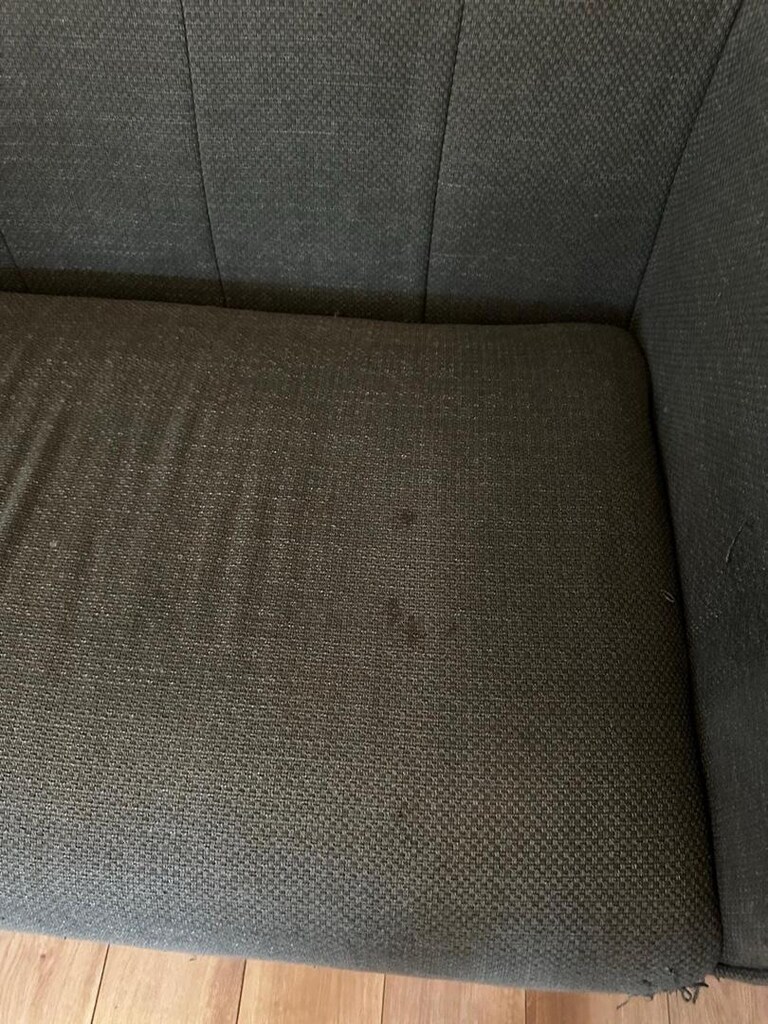 Ikea 1,5 kişilik Koltuk Vıskafors - 5
