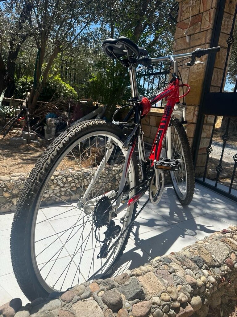 Bianchi 26 Jant 21 Vites Dağ Bisikleti - 5