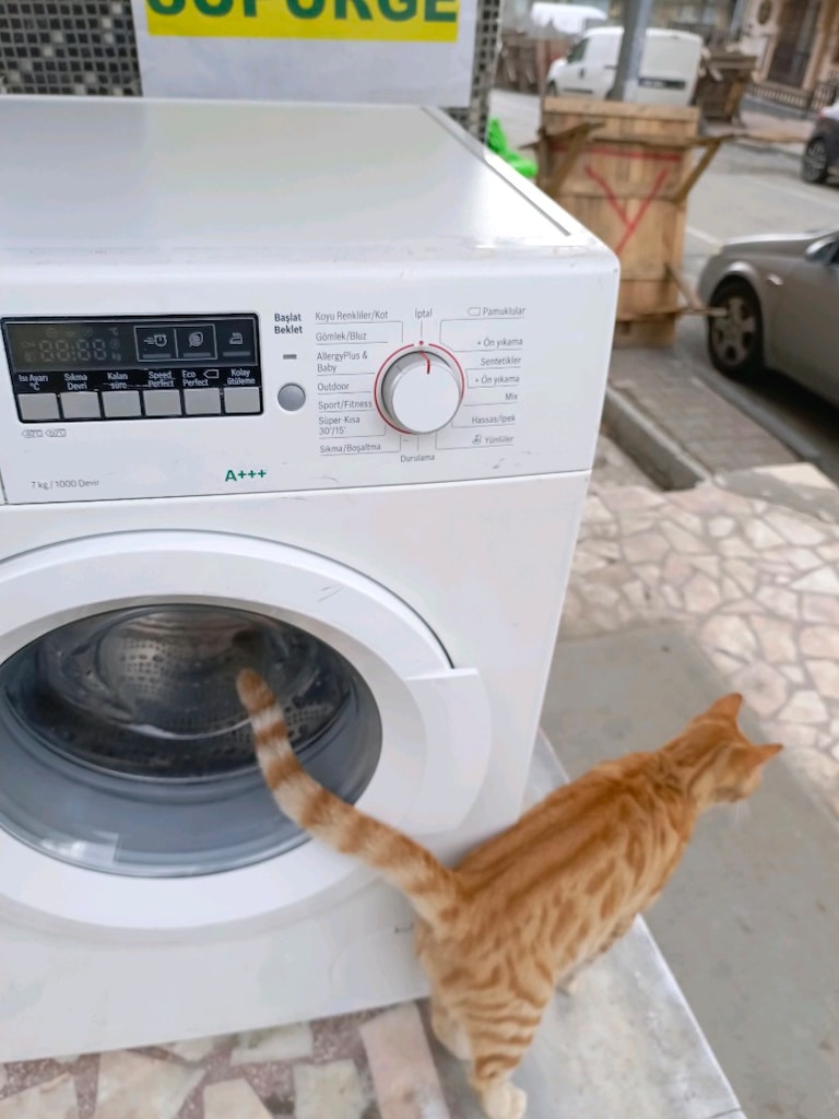 Bosch 7 kg çamaşır makinesi servis bakımlı olarak teslim edilir - 4