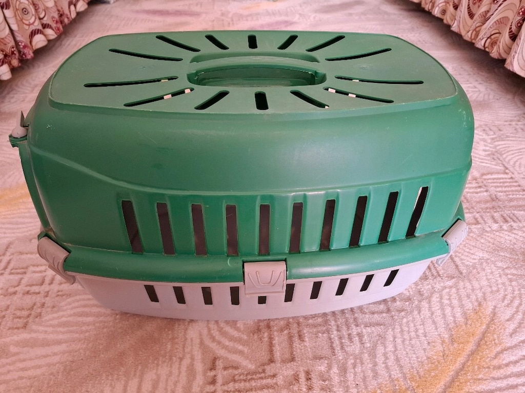 kedi köpek kafesi - 3