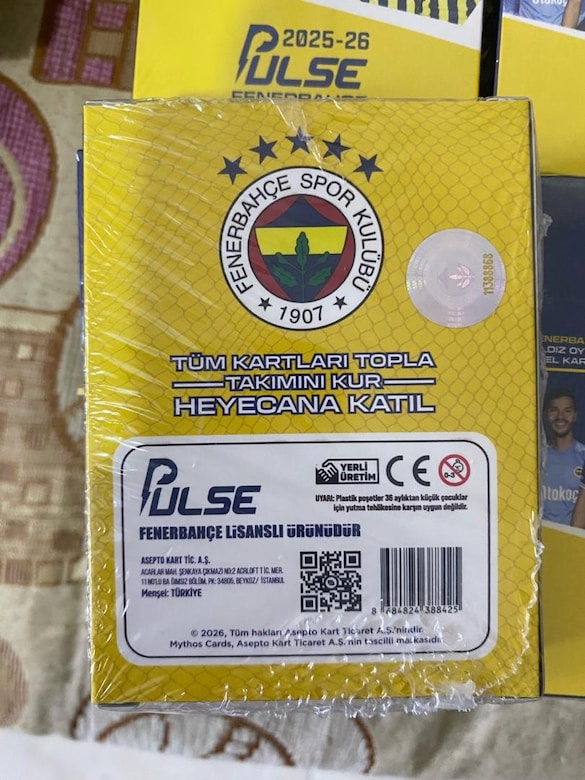 FENERBAHÇE FUTBOLCU KARTLARI 2025-2026 - 2