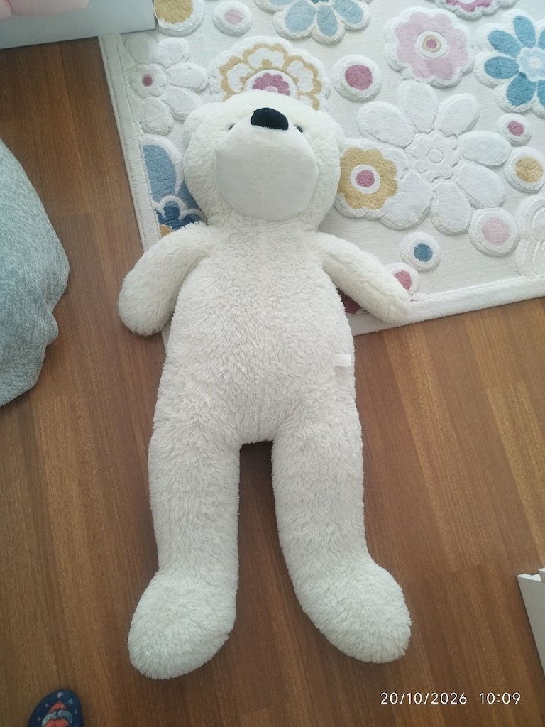 Büyük boy ayicik - 2