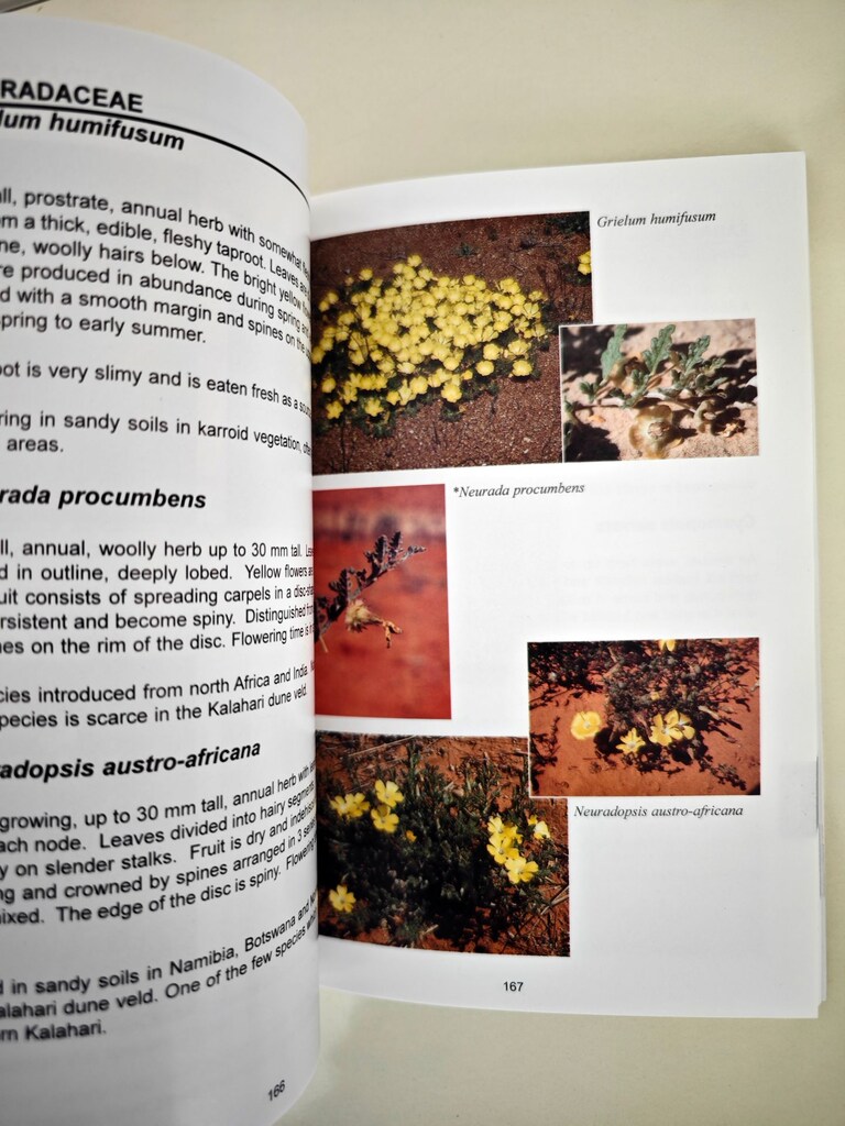 Kitap / Flowering Plants of the Kalahari Dunes - 4