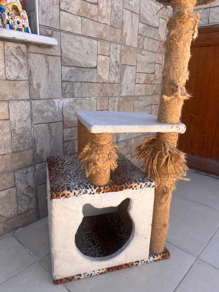 kedi evi - 7