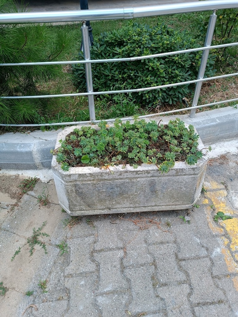 beton saksı sağlam temiz adet fiyat 2 bin TL uygun fiyat nakliyem var - 3