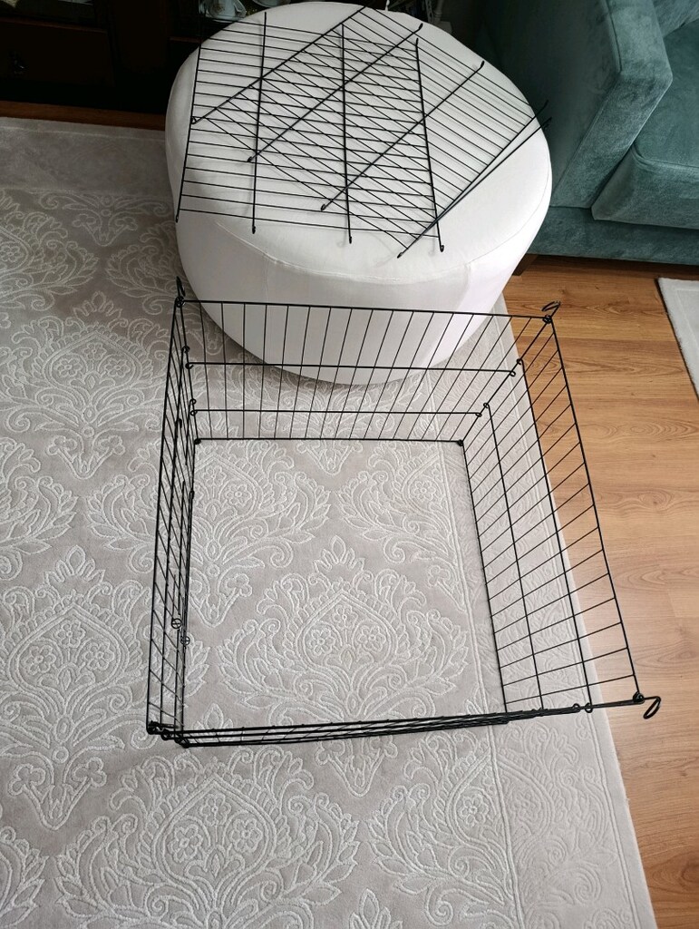 KÖPEK ÇİTİ - 4