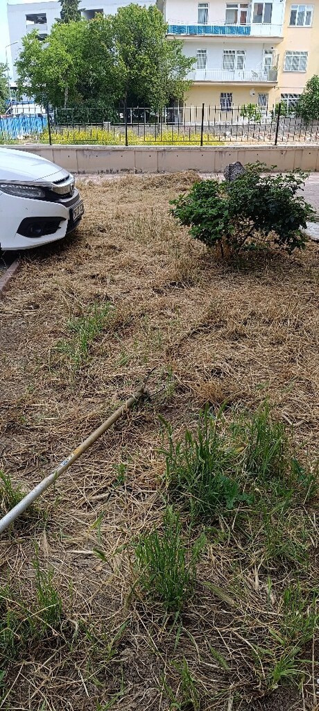 bahçe biçimi yapılır - 6