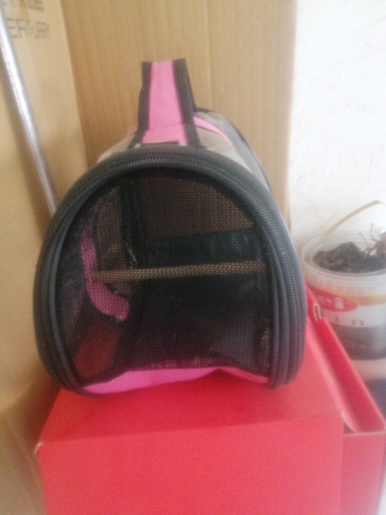 Kedi/kuş çantası - 2