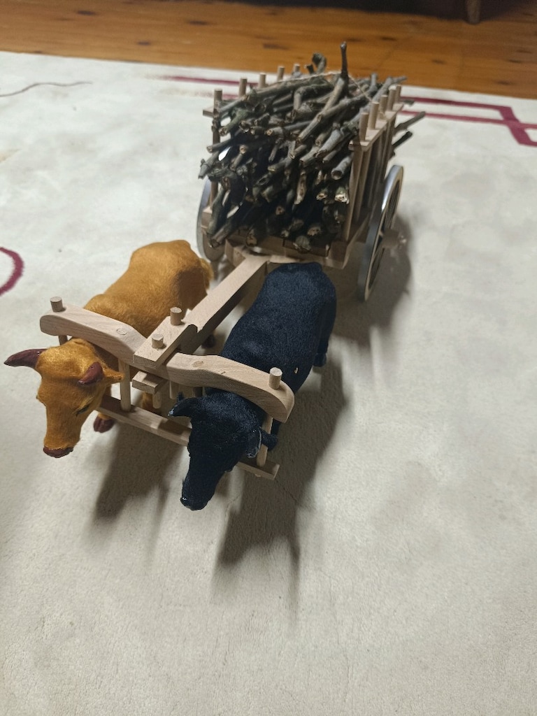 tüylü boğa ve kağnı arabası - 2