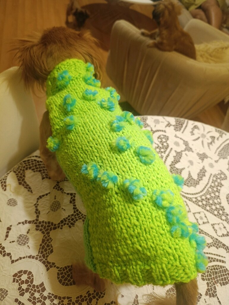 kedi köpek kazak - 3