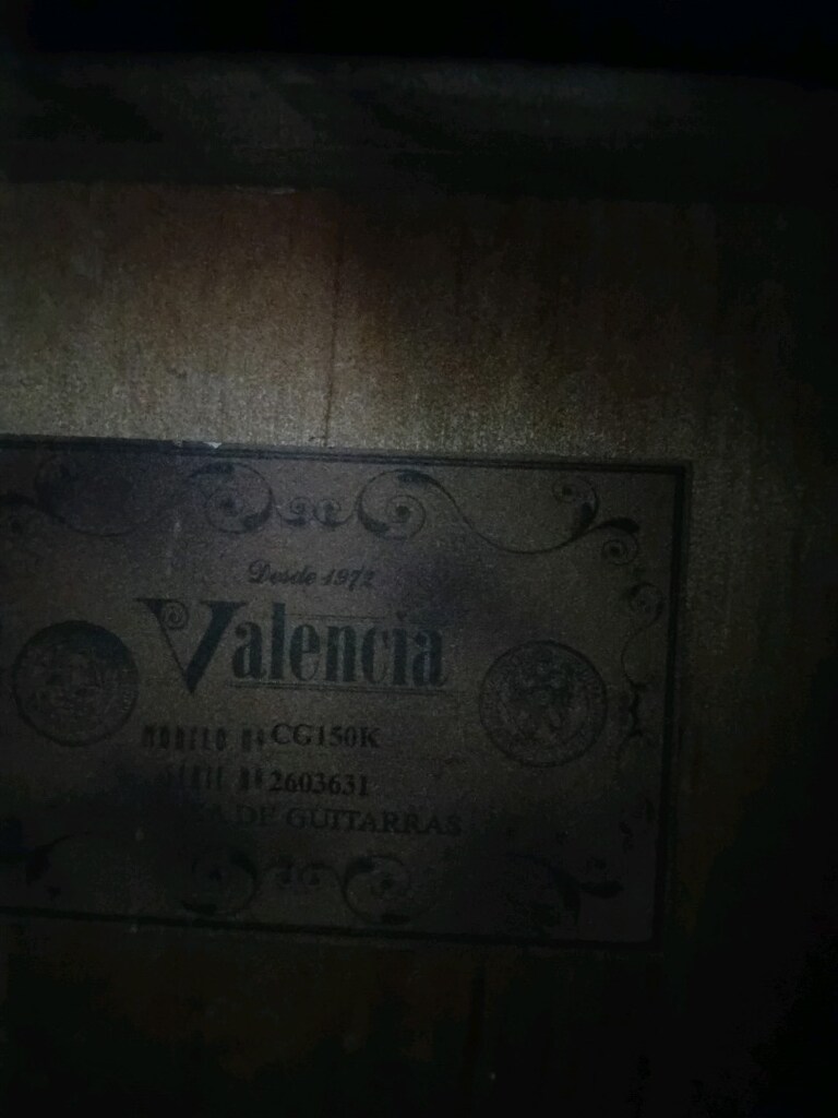 gitar valencia ve ayaklık - 2