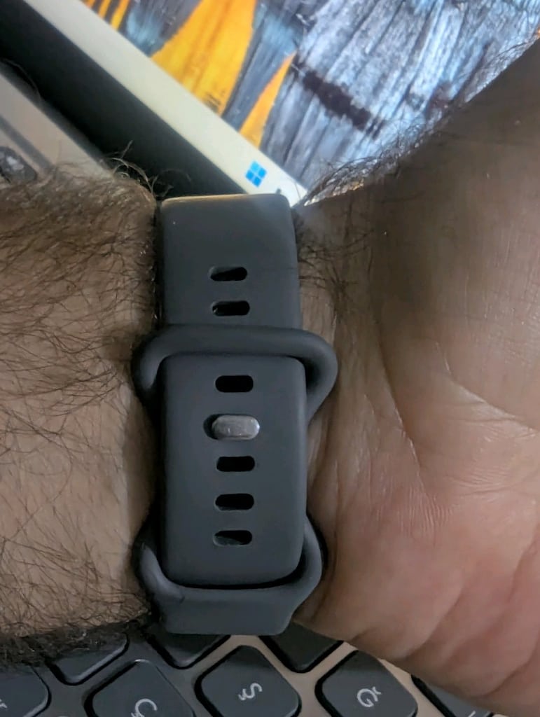 Google Pixel Watch 1. Nesil (Önceki Model) - Fitbit Etkinlik Tak - 10