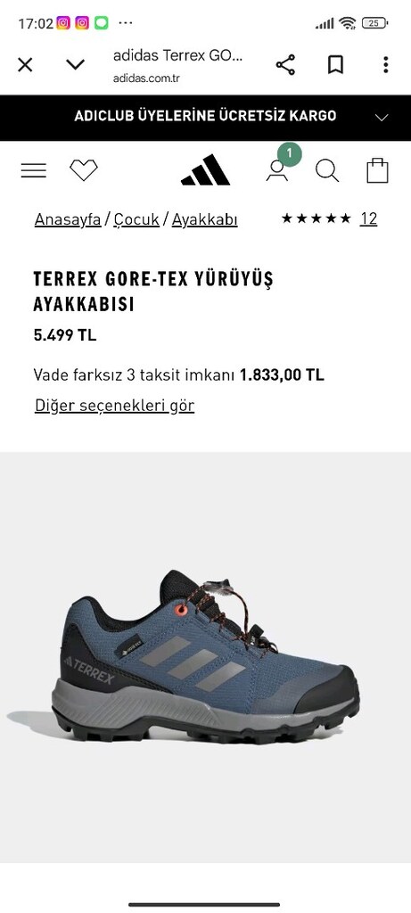 Orijinal Adidas terrex Gore