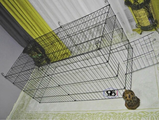 kedi ve köpek çiti