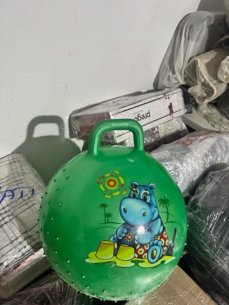 Buyuk boy plates topu - 2