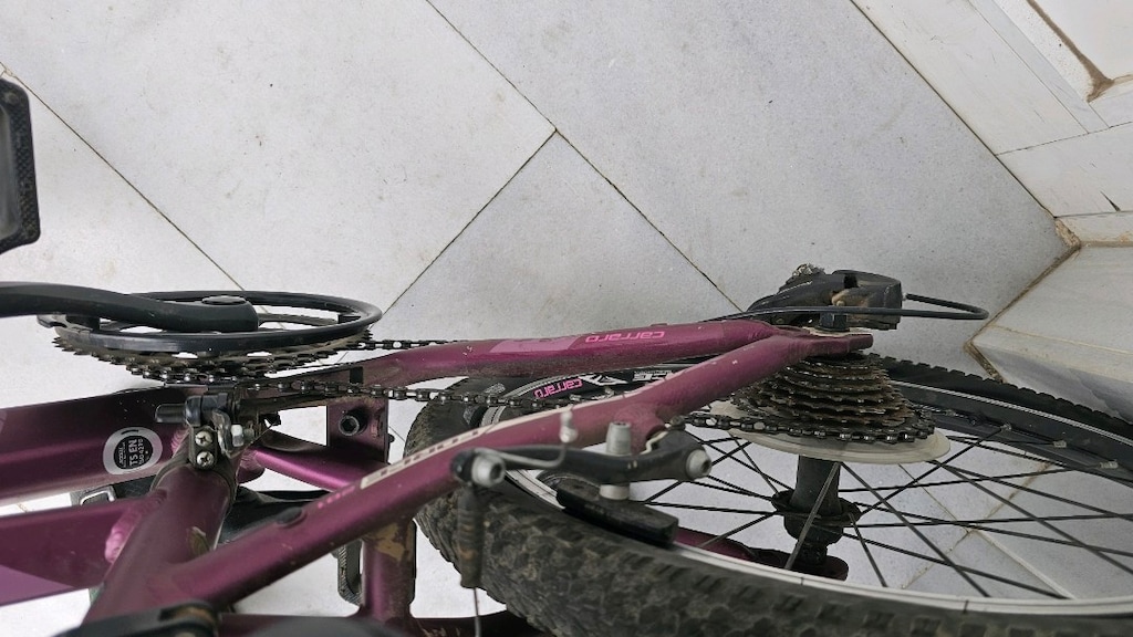 Carraro Force 201 Kız Çocuk Bisikleti 20 Jant - 2