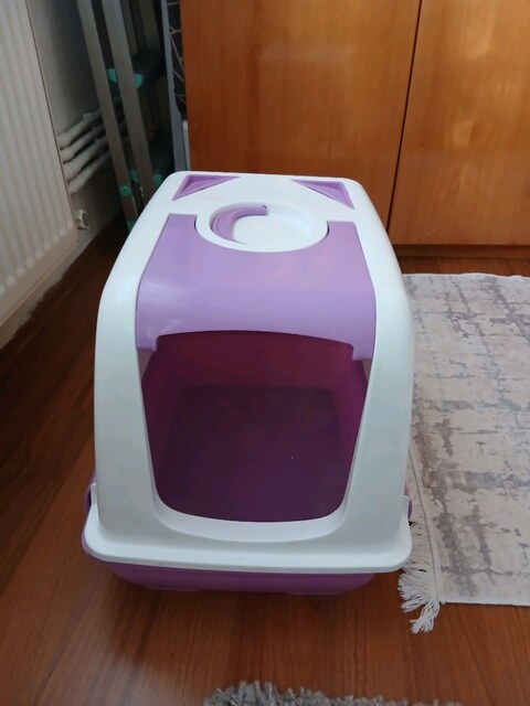 kapalı kedi tuvaleti