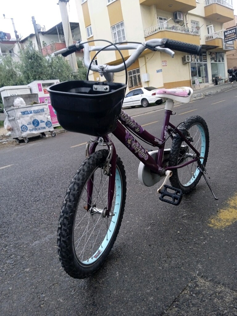 geroni orijinal boyalı 20 x 1,75 bemiks kız bisikleti - 3