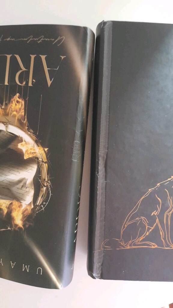 Kitap Ardıç 2 Umay Gümüş - 6