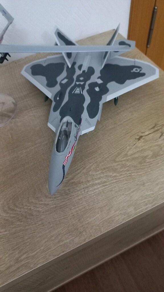 1/48 F-22 Raptor - 3